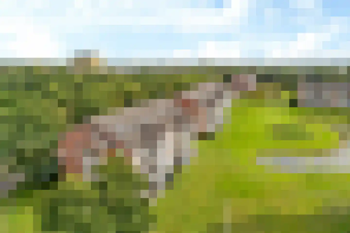 Golflaan 4 32 Heerenveen thumbnail 42