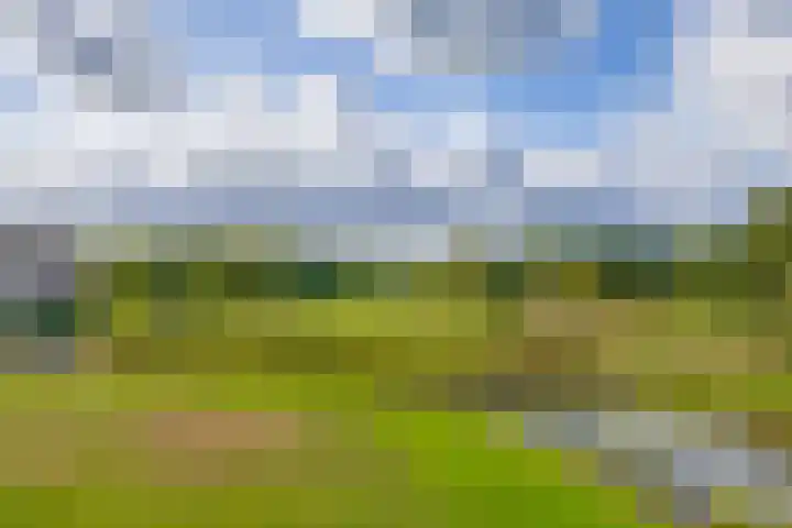 Golflaan 8 21 Heerenveen thumbnail 27