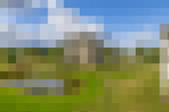 Golflaan 8 21 Heerenveen thumbnail 28