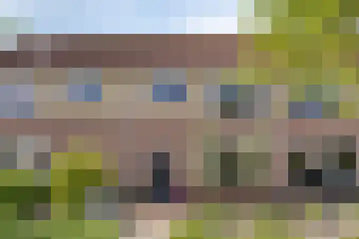 Golfoploop 8 in Urk