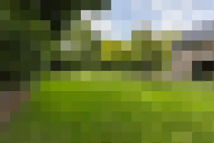 Golfpad 1 Heerenveen thumbnail 36