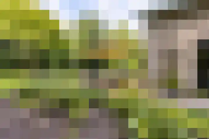 Golfpad 1 Heerenveen thumbnail 37