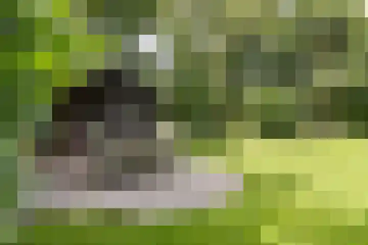 Golfpad 1 Heerenveen thumbnail 38