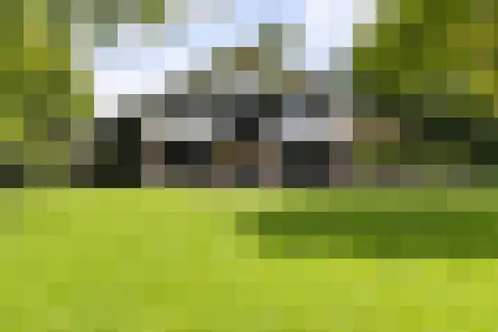 Golfpad 1 Heerenveen thumbnail 39