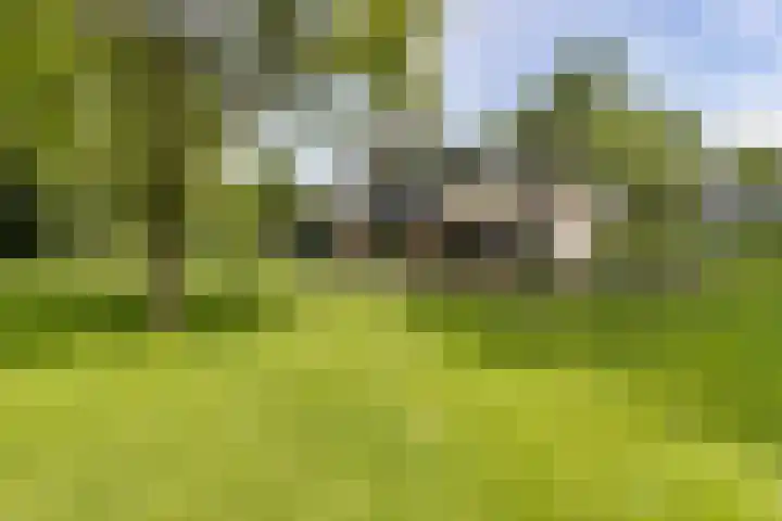 Golfpad 1 Heerenveen thumbnail 40