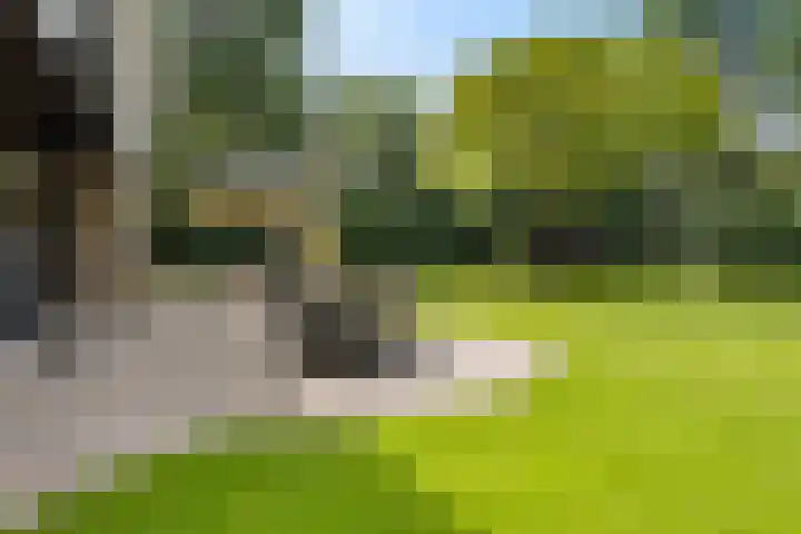 Golfpad 1 Heerenveen thumbnail 41
