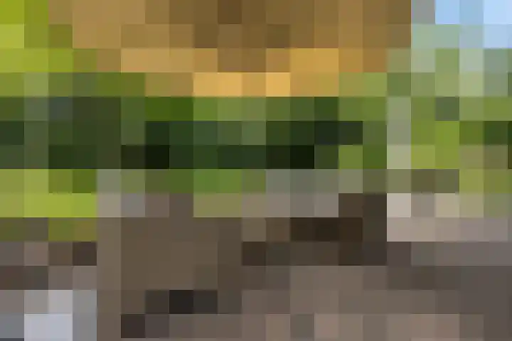 Golfpad 1 Heerenveen thumbnail 42
