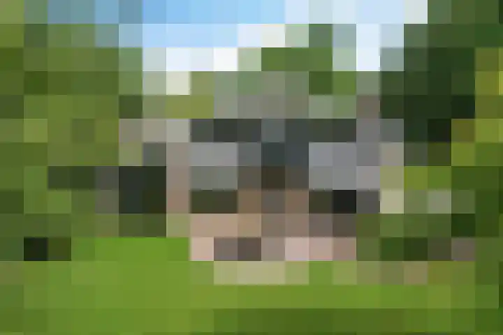 Golfpad 1 Heerenveen thumbnail 45