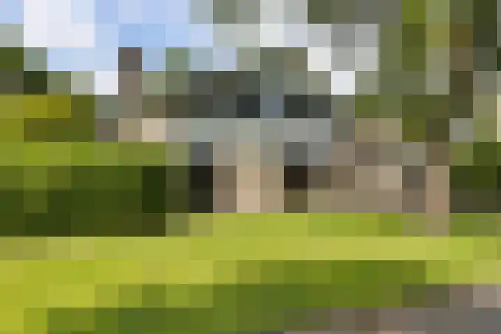 Golfpad 1 Heerenveen thumbnail 6