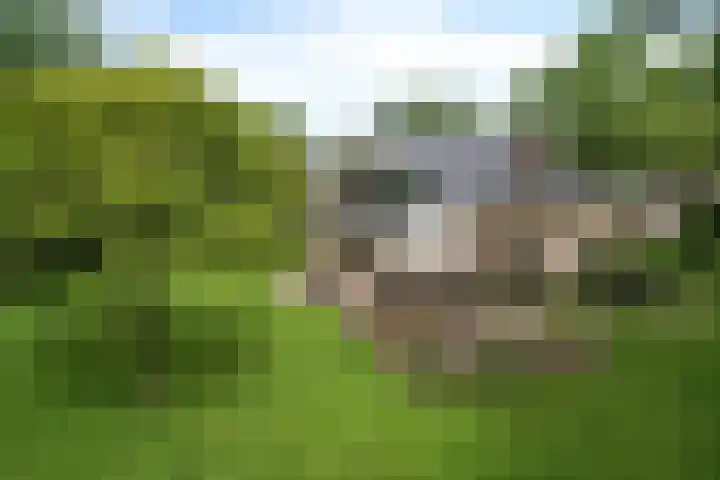 Golfpad 1 Heerenveen thumbnail 7