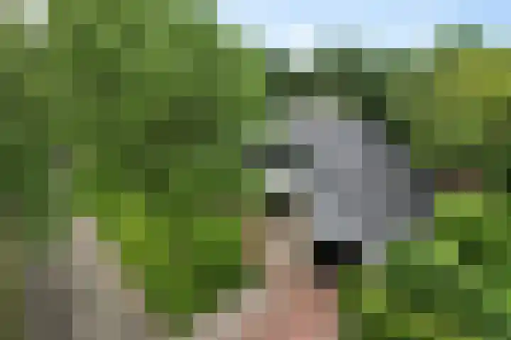 Golfpad 1 Heerenveen thumbnail 8