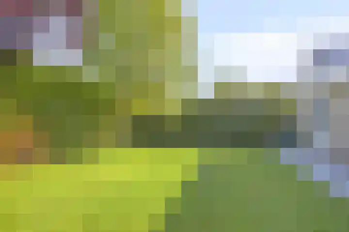 Golfpark 168 Lelystad thumbnail 35