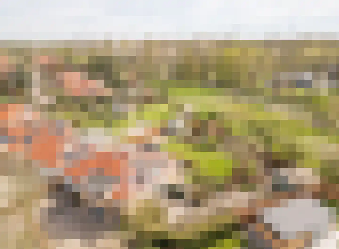 Golfresidentie 121 Dronten thumbnail 30
