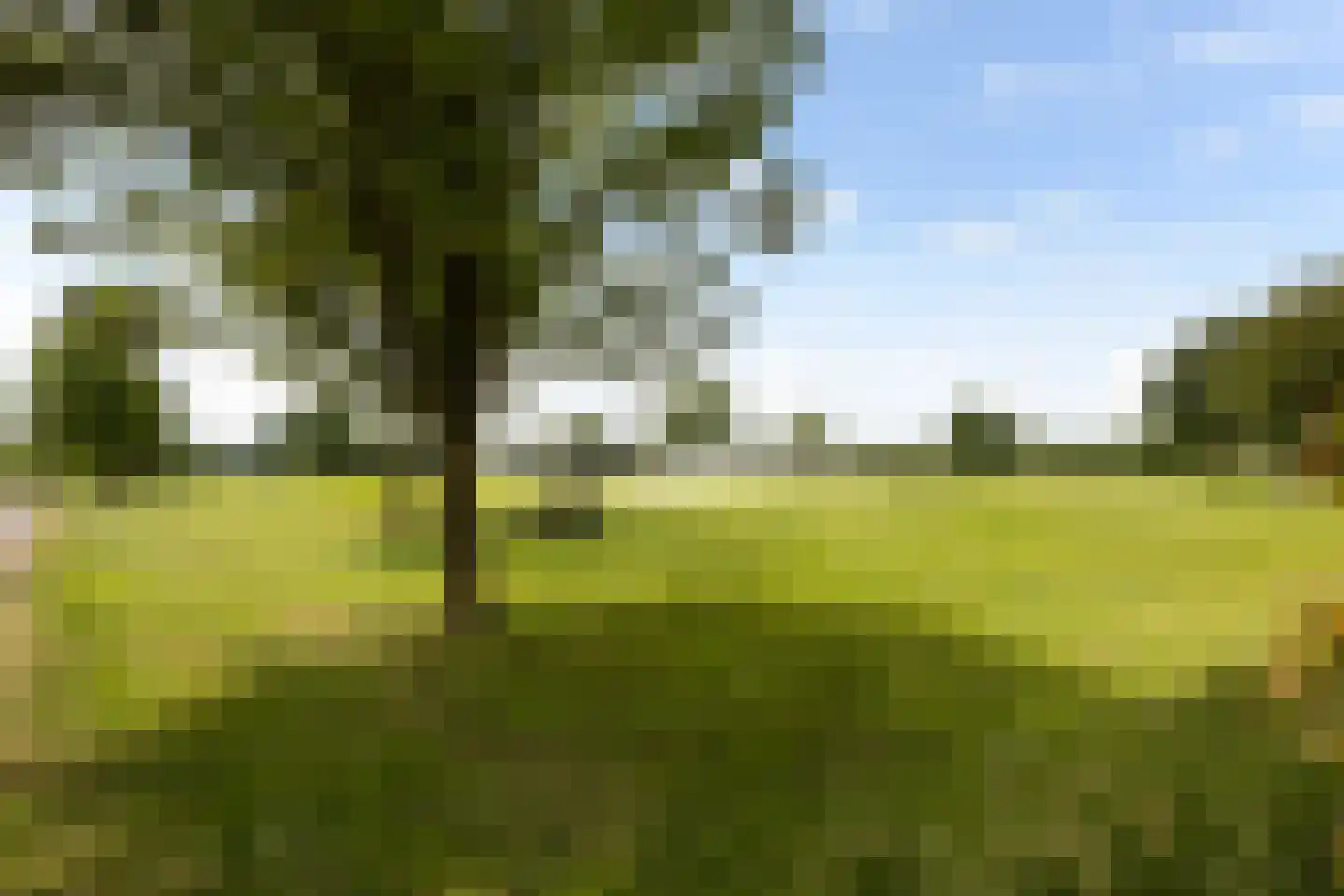 Golfresidentie 122 Dronten thumbnail 30