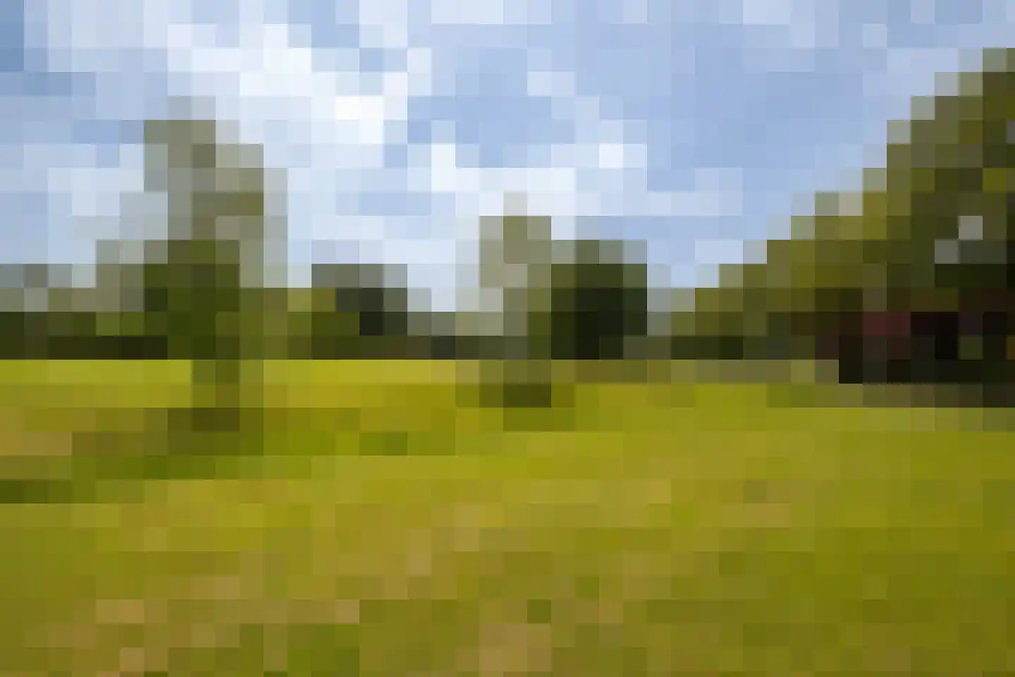 Golfresidentie 122 Dronten thumbnail 5
