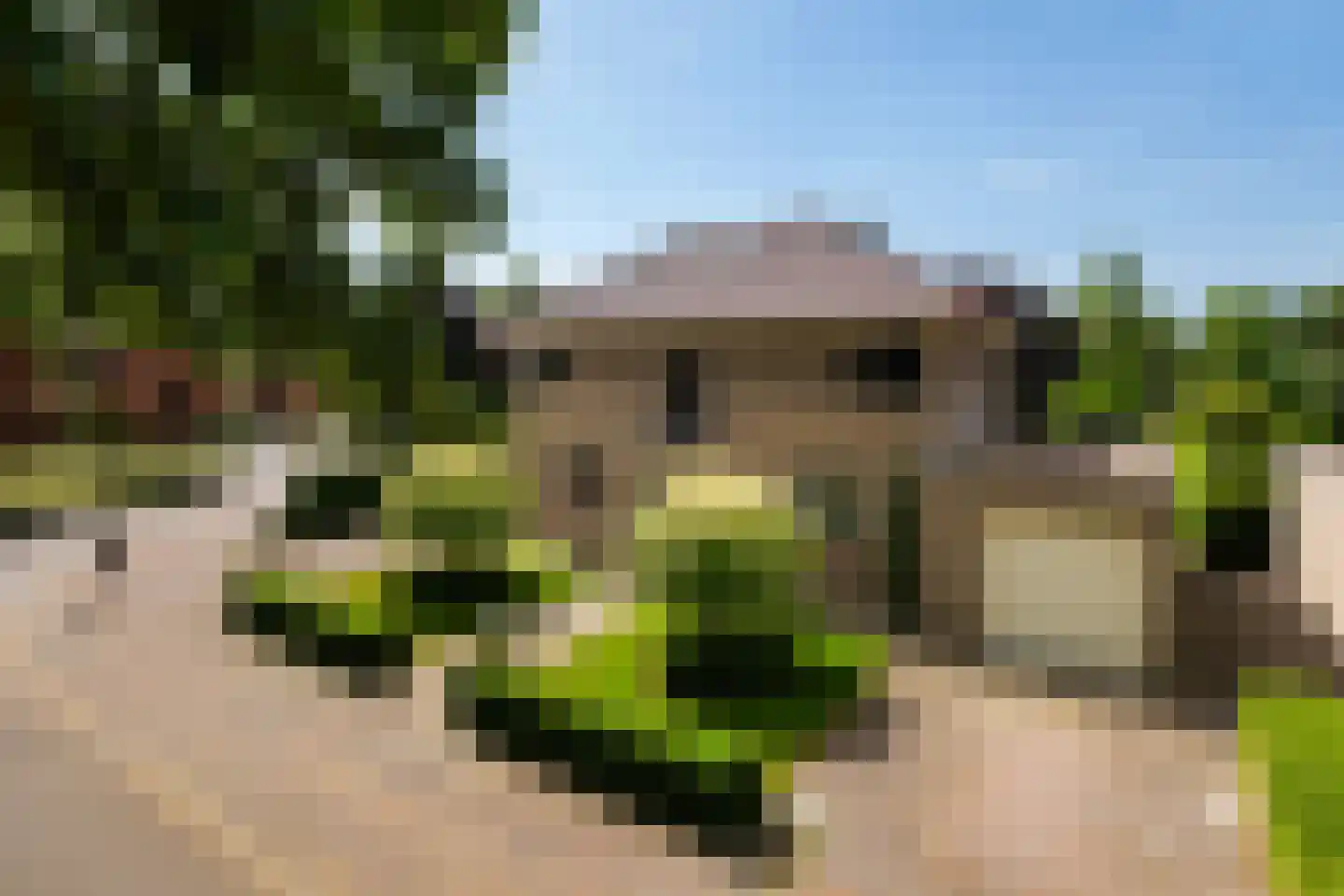 Golfresidentie 122 Dronten thumbnail 6