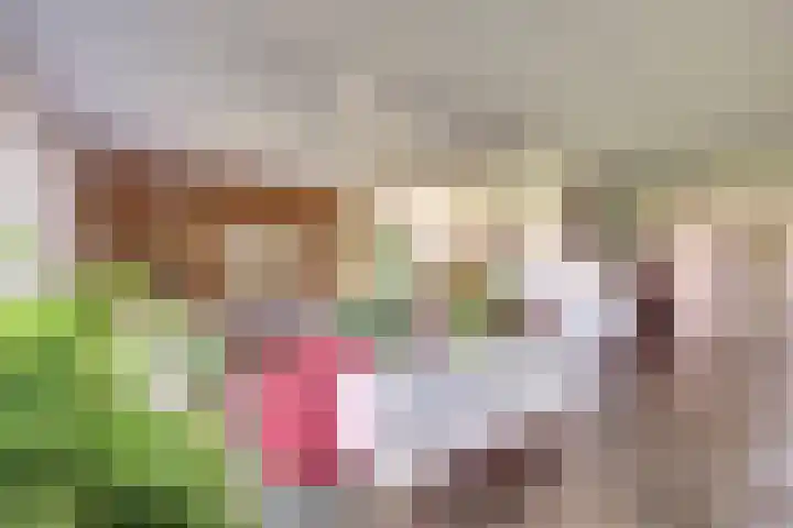 Golfresidentie 132 Dronten thumbnail 12