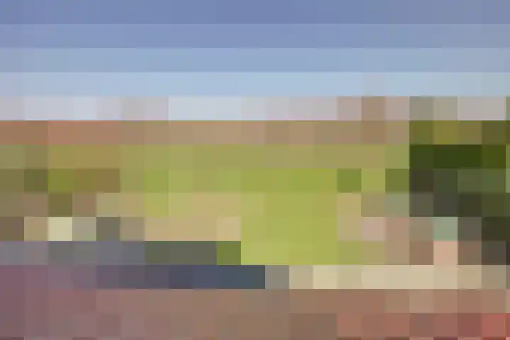 Golfresidentie 132 Dronten thumbnail 38