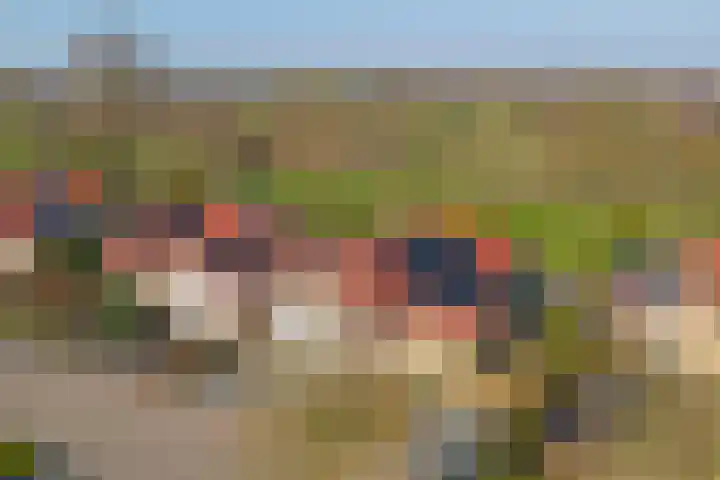 Golfresidentie 132 Dronten thumbnail 46