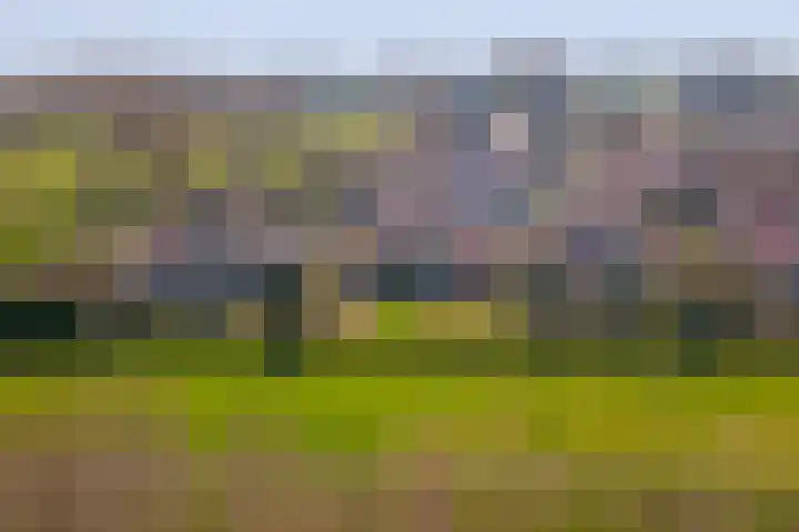 Golfresidentie 132 Dronten thumbnail 48