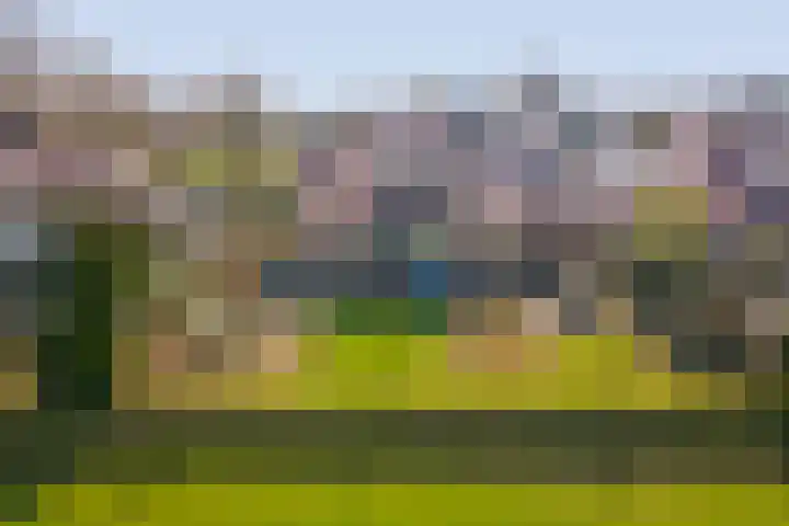 Golfresidentie 132 Dronten thumbnail 49