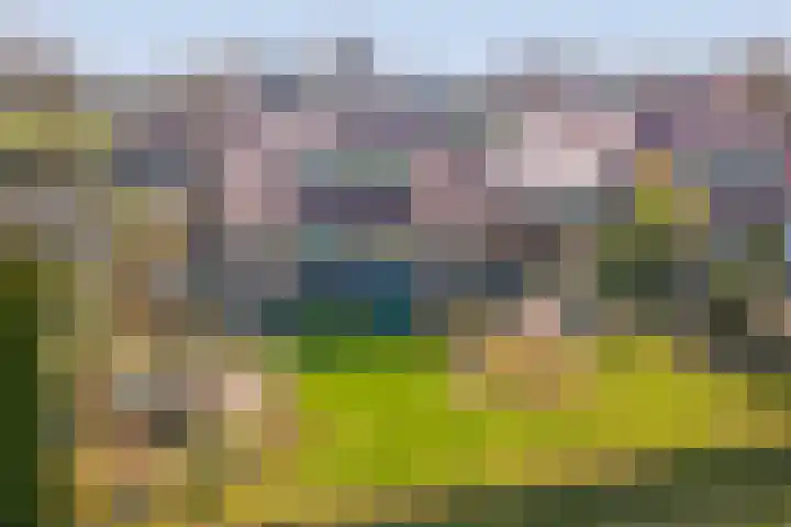 Golfresidentie 132 Dronten thumbnail 50
