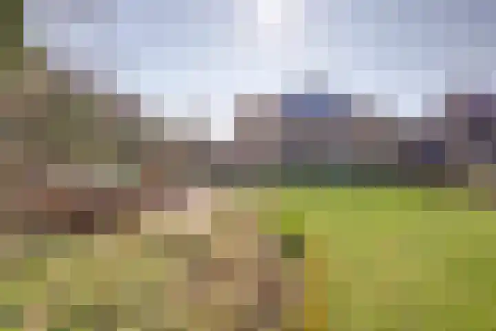 Golfresidentie 132 Dronten thumbnail 51