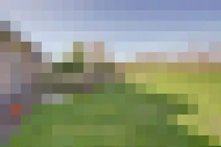 Golfresidentie 132 Dronten thumbnail 55