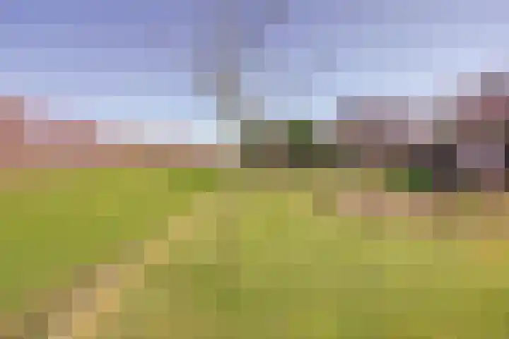 Golfresidentie 132 Dronten thumbnail 56