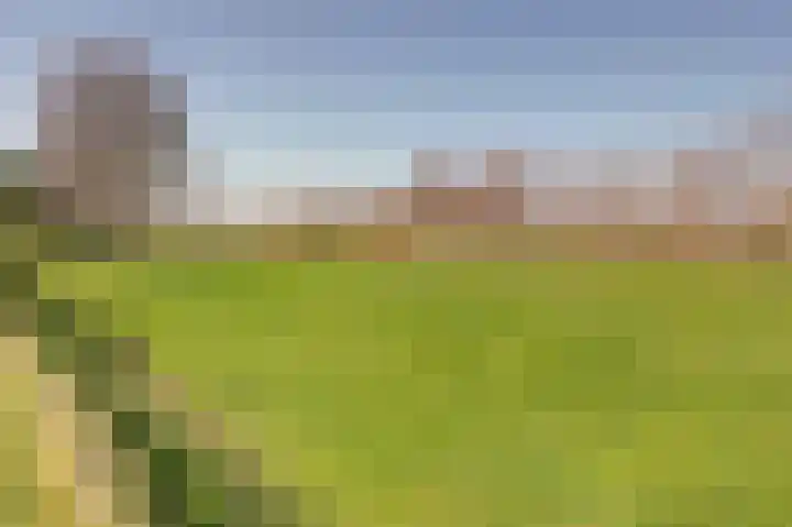 Golfresidentie 132 Dronten thumbnail 57