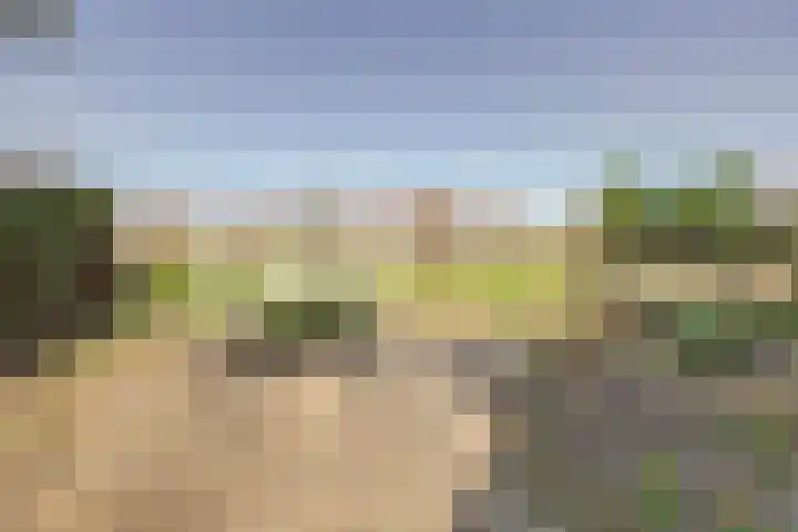 Golfresidentie 132 Dronten thumbnail 58