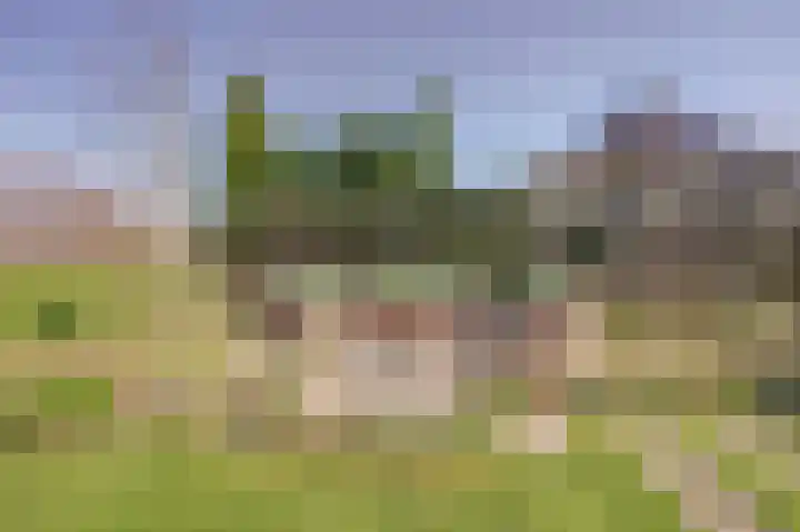 Golfresidentie 132 Dronten thumbnail 59