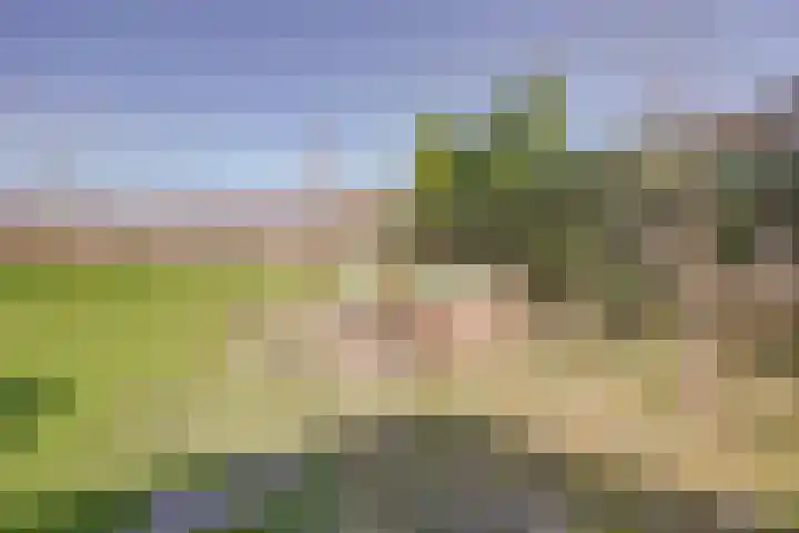 Golfresidentie 132 Dronten thumbnail 60