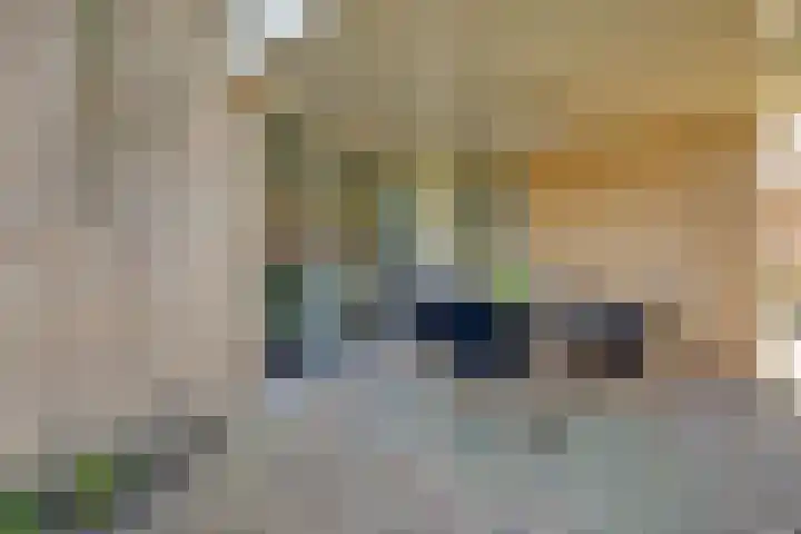 Golfresidentie 132 Dronten thumbnail 61