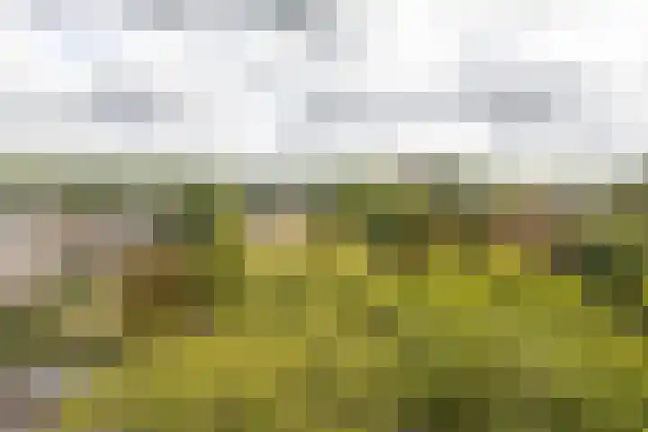 Golfresidentie 25 Dronten thumbnail 26