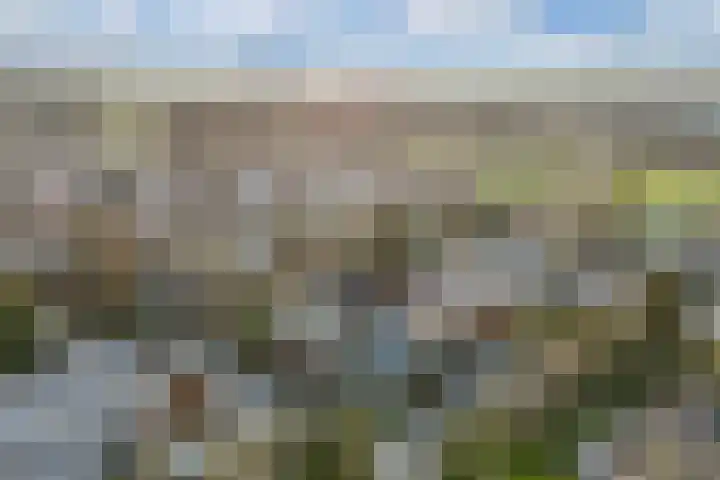 Golfresidentie 25 Dronten thumbnail 43