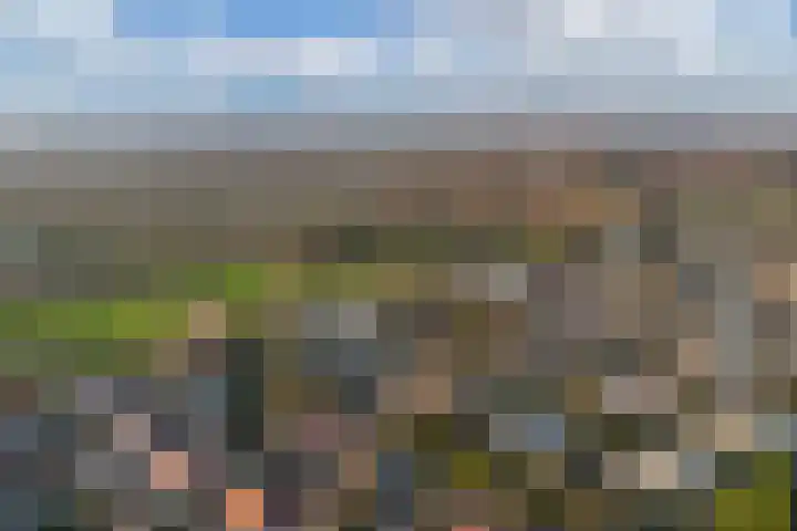 Golfresidentie 25 Dronten thumbnail 47