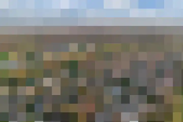 Golfresidentie 25 Dronten thumbnail 48