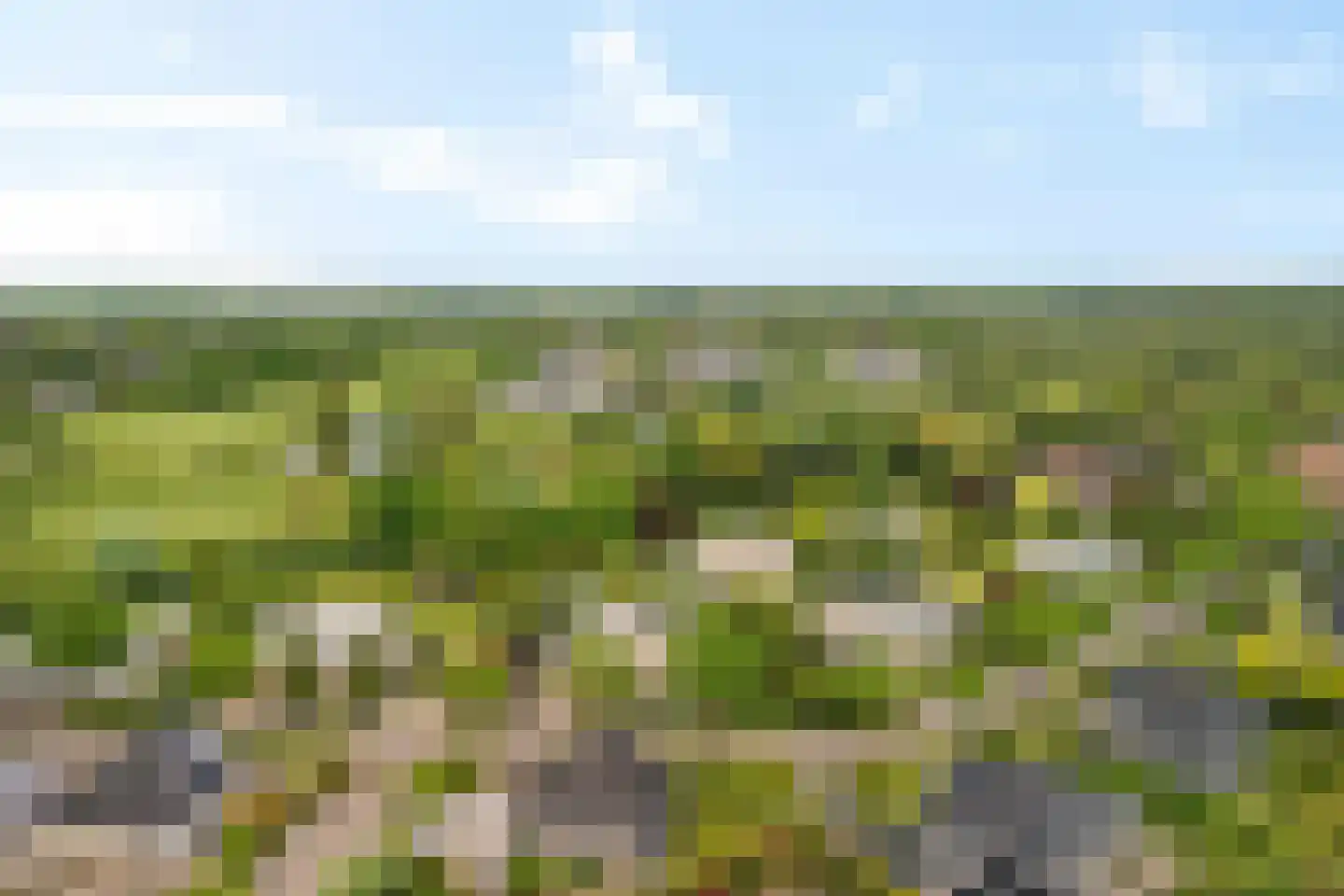 Golfresidentie 46 Dronten thumbnail 44