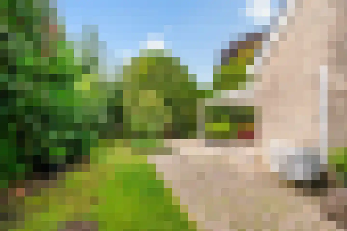 Golfresidentie 47 Dronten thumbnail 25