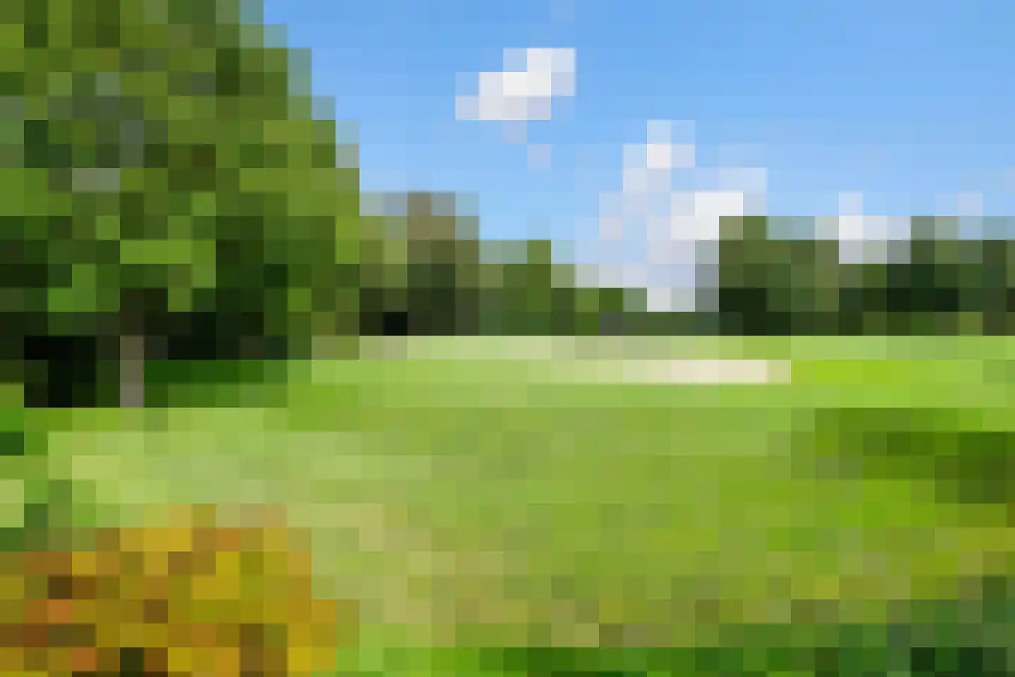 Golfresidentie 47 Dronten thumbnail 4