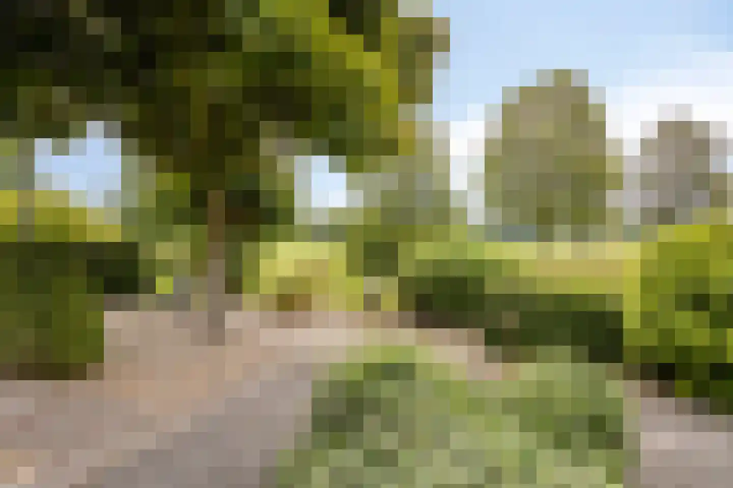 Golfresidentie 53 Dronten thumbnail 11