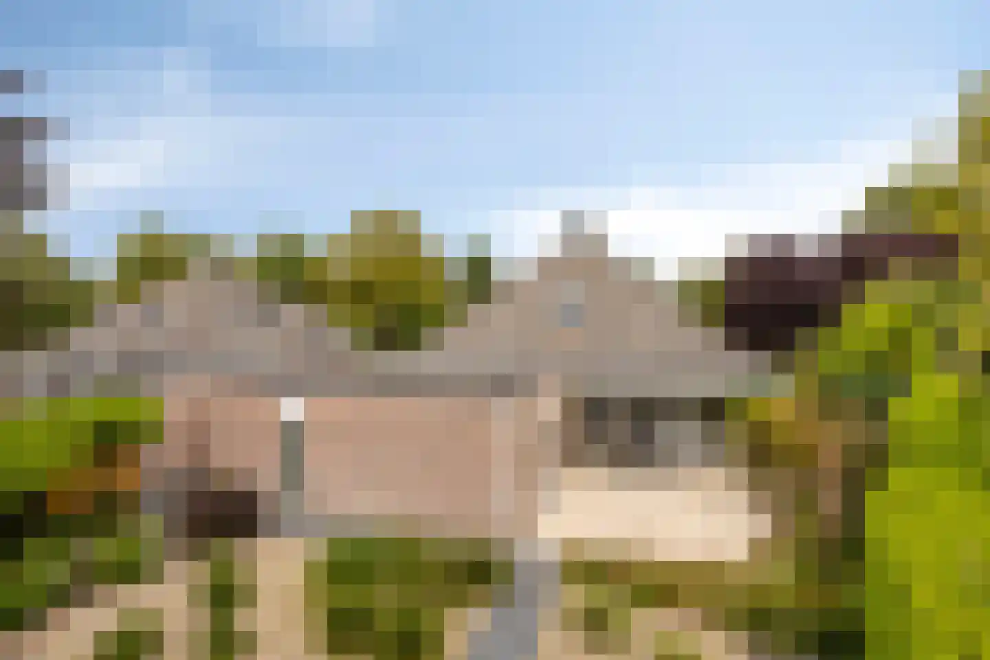 Golfresidentie 53 Dronten thumbnail 13