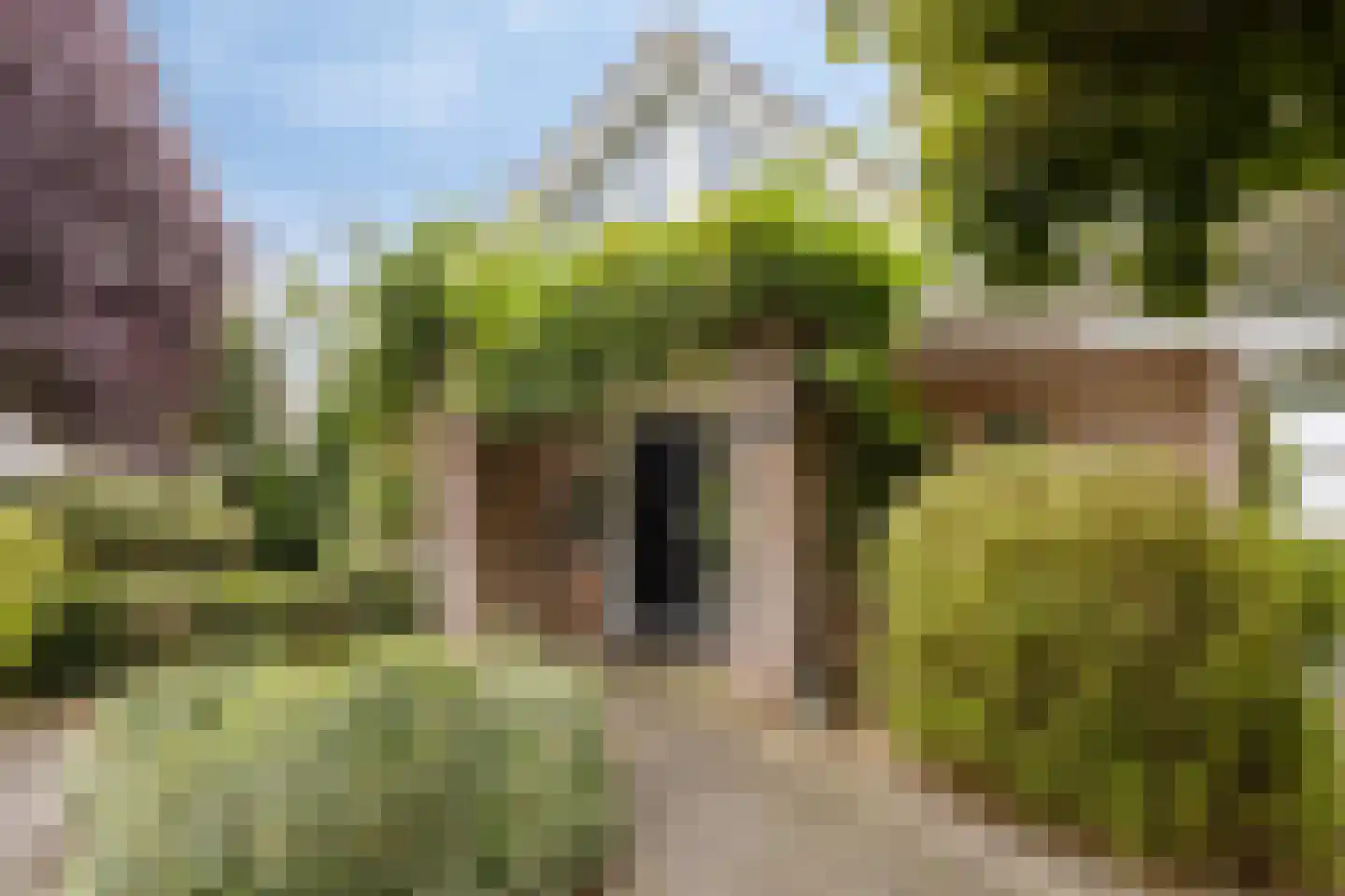 Golfresidentie 53 Dronten thumbnail 4