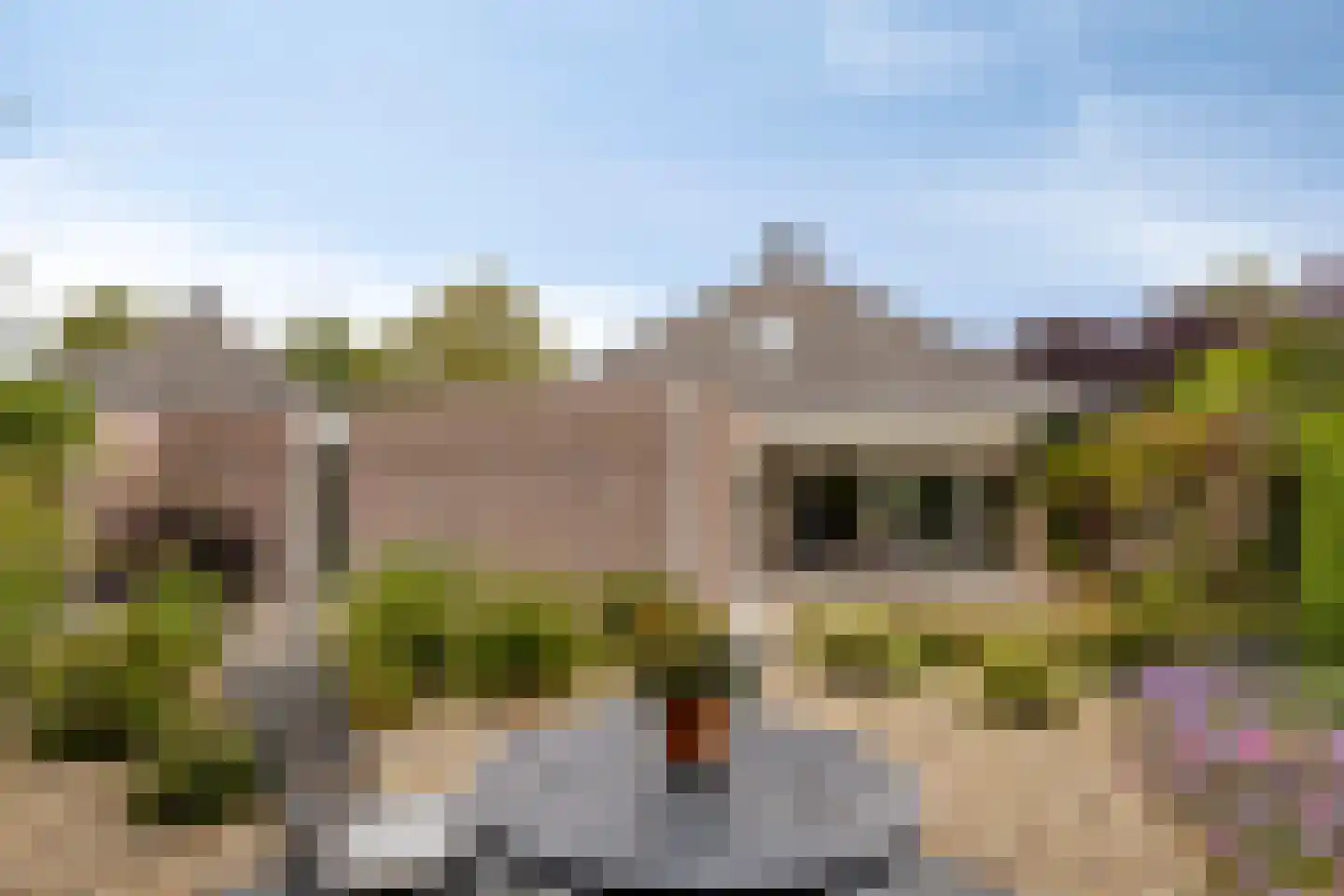 Golfresidentie 53 Dronten thumbnail 42