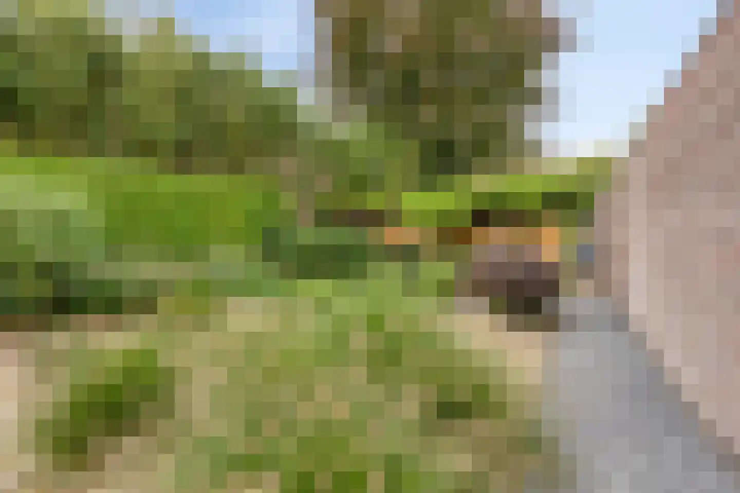 Golfresidentie 53 Dronten thumbnail 49