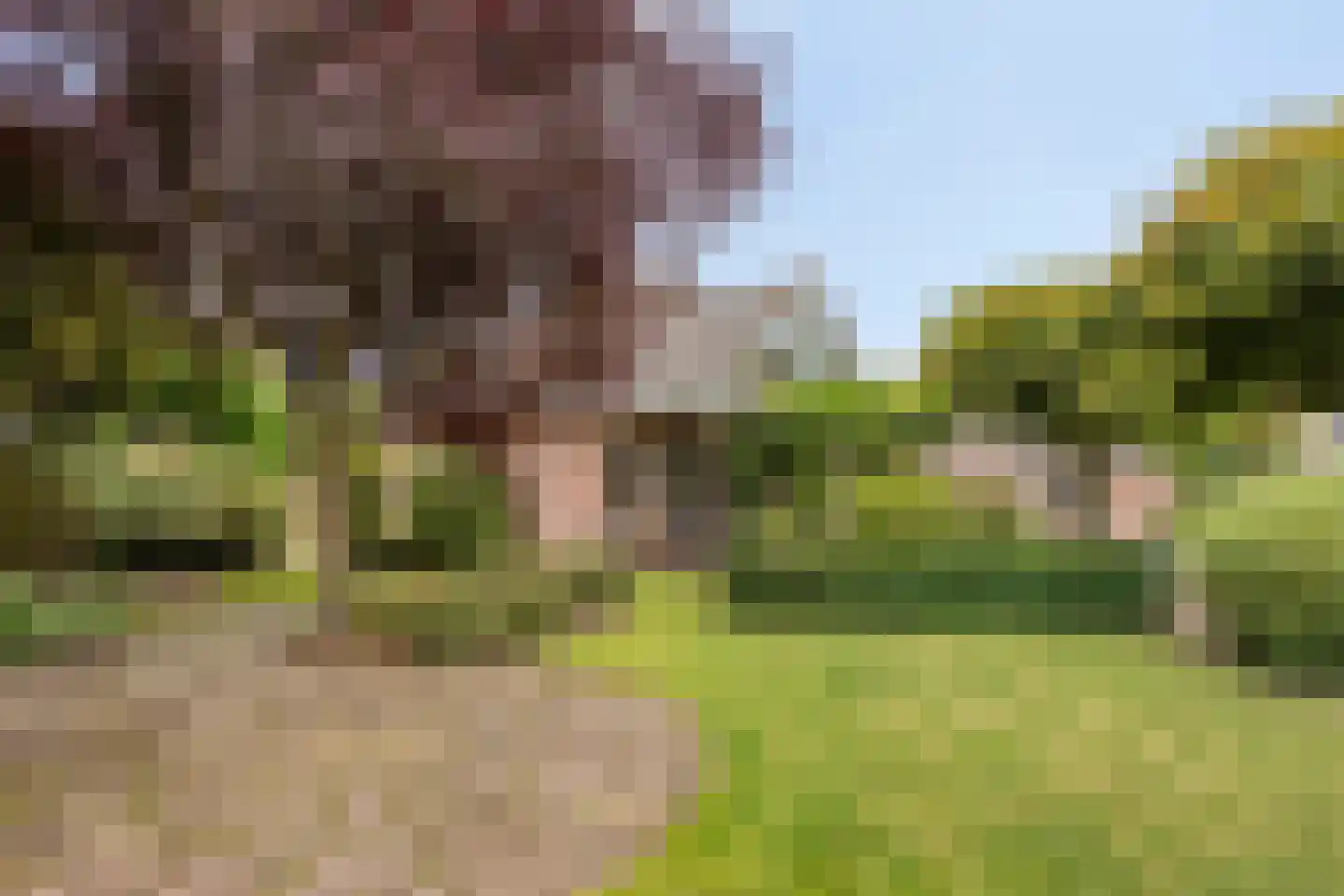 Golfresidentie 53 Dronten thumbnail 51
