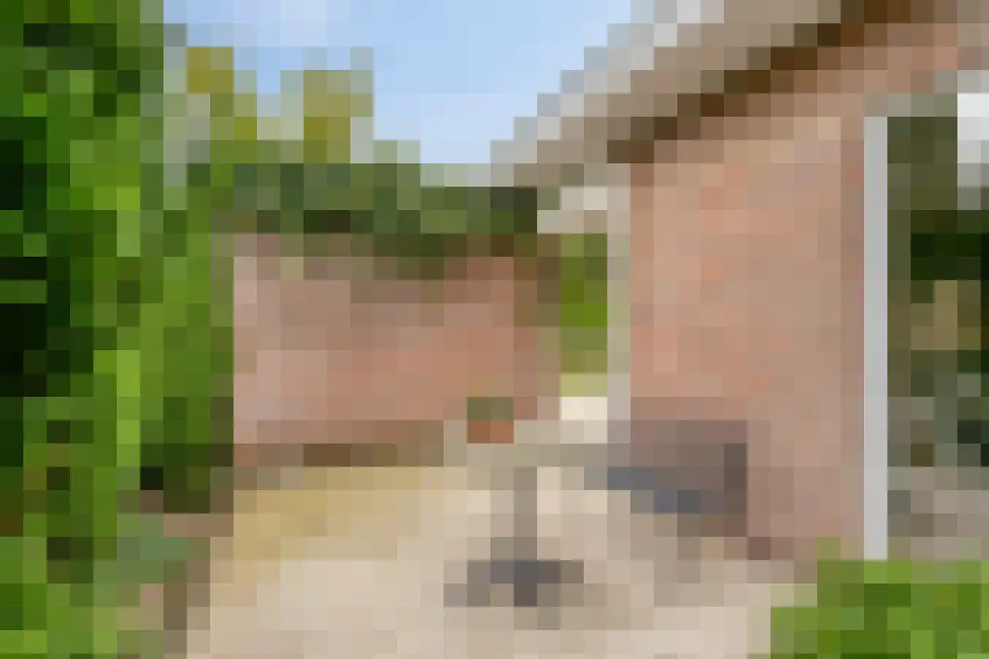 Golfresidentie 53 Dronten thumbnail 53