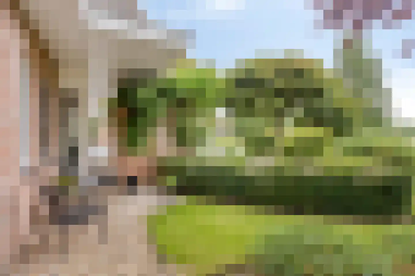 Golfresidentie 53 Dronten thumbnail 54