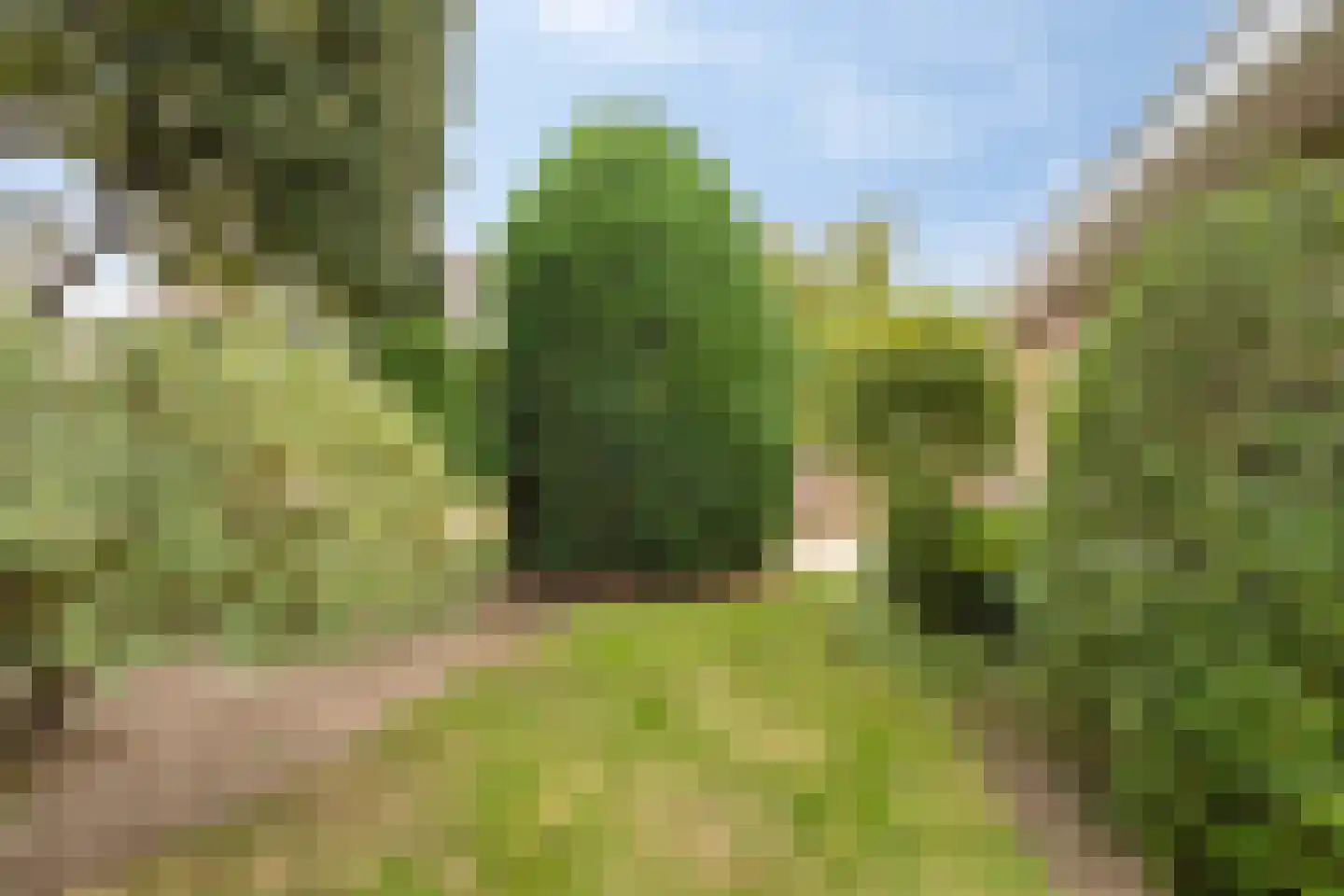 Golfresidentie 53 Dronten thumbnail 55
